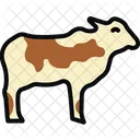 Bovine Cattle Cow Icon