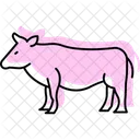 Cattle Beside Field Cattle Field Icon