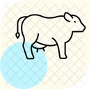Cattle Farm Agriculture Icon
