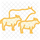 Cattle Walking Trail Cattle Walking Icon