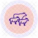Cattle Walking Trail Cattle Walking Icon