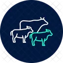 Cattle walking trail  Icon