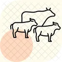 Cattle Walking Trail Cattle Walking Icon