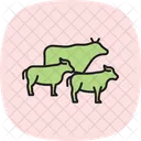 Cattle Walking Trail Cattle Walking Icon