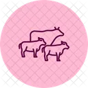 Cattle Walking Trail Cattle Walking Icon