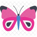 Cattleheart Fly Insect Icon