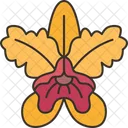 Cattleya Orchid Flower Icon