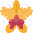Cattleya Orchid Flower Icon