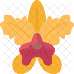 Cattleya  Icon