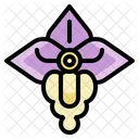 Cattleya  Icon