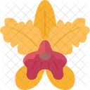 Cattleya Orchid Flower Icon