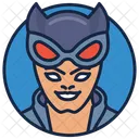 Gotham Girl Animated Series Warrior Icon