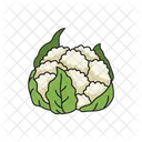 Cauliflower Food Healthy Icon
