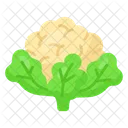 Cauliflower Vegetable Food Icon
