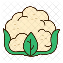 Cauliflower  Icon