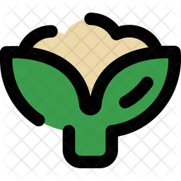 Cauliflower  Icon