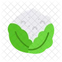 Cauliflower  Icon