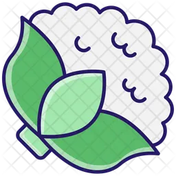 Cauliflower  Icon