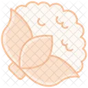 Cauliflower  Icon