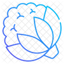 Cauliflower  Icon