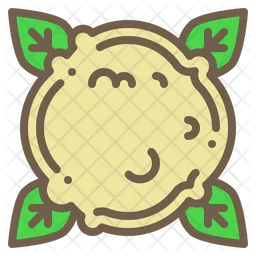 Cauliflower  Icon