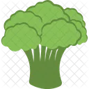 Broccoli Cauliflower Vegetable Icon