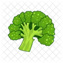 Caulitflower Vegetables Cabbage Icon