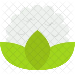 Cauliflower  Icon