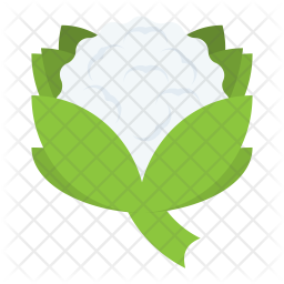 Cauliflower Icon