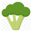 Cauliflower Food Vegetarian Icon