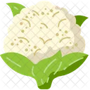 Cauliflower Food Diet Icon
