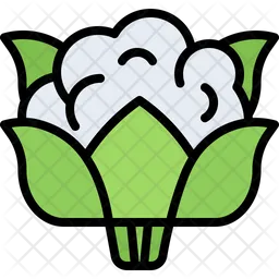 Cauliflower  Icon