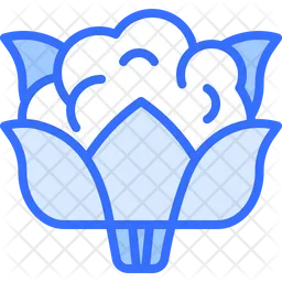 Cauliflower  Icon