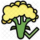 Cauliflower Vegetable Diet Icon
