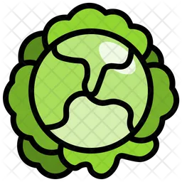 Cauliflower  Icon