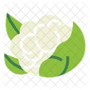 Cauliflower  Icon