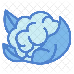 Cauliflower  Icon