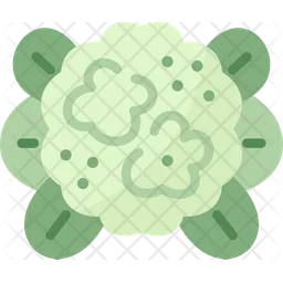 Cauliflower  Icon