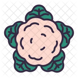 Cauliflower  Icon