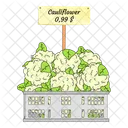 Cauliflower Vegetable Vegetable Basket Icon
