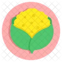 Cauliflower Food Vegetable Icon