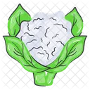 Cauliflower  Icon