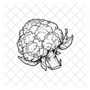 Cauliflower Icon