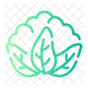 Cauliflower  Icon