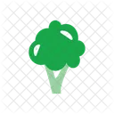 Cauliflower  Icon