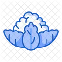 Cauliflower  Icon