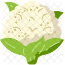 Cauliflower  Icon