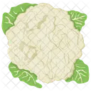 Cauliflower Healthiest Vegetable Icon