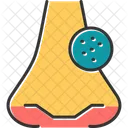 Causa De Infeccion Infeccion Enfermedad Icono