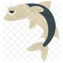 Cavalinha  Ícone